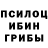 Псилоцибиновые грибы Cubensis Asef Play