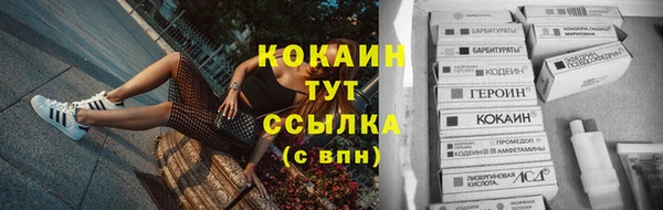 ешки Алзамай