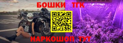 прущие крисы Гай