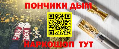 скорость Гатчина