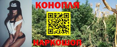 скорость Гатчина
