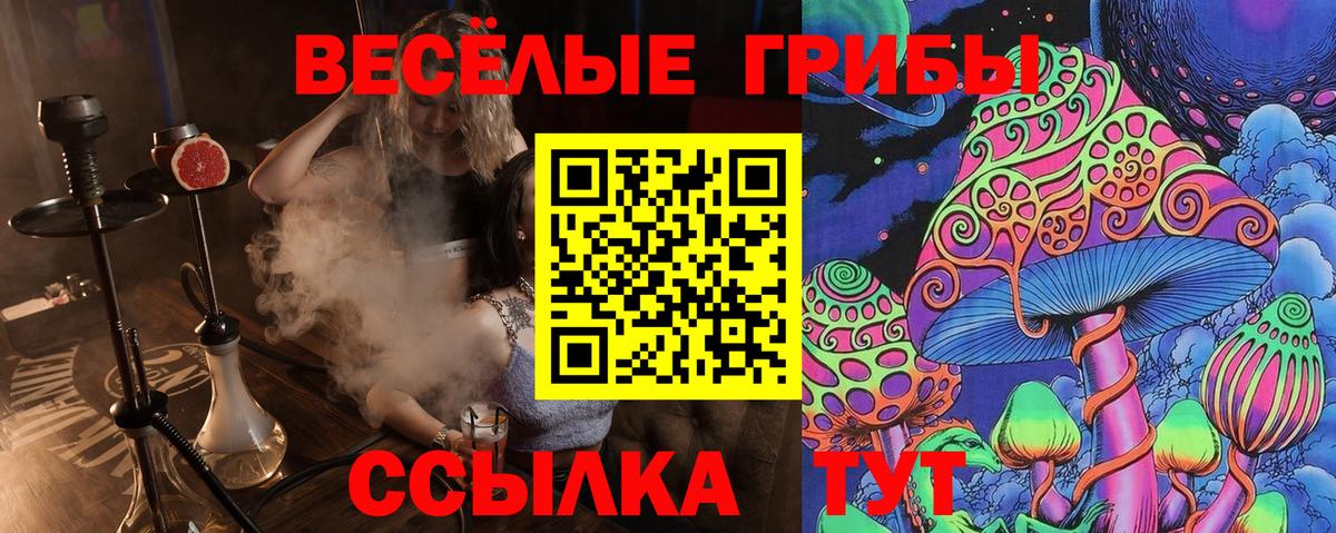 Псилоцибиновые грибы Cubensis Усинск